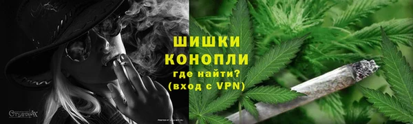 Альфа ПВП Горно-Алтайск