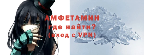 сатива Горняк