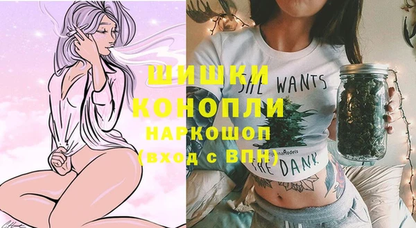 Альфа ПВП Горно-Алтайск