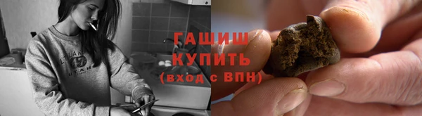 сатива Горняк