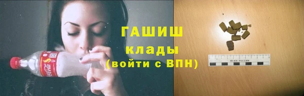 сатива Горняк