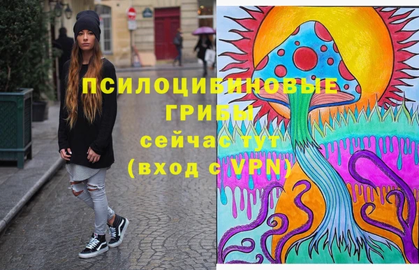 сатива Горняк
