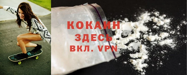 сатива Горняк