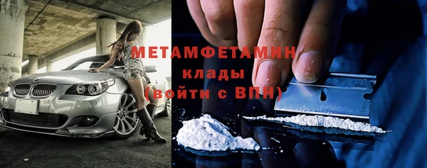 сатива Горняк