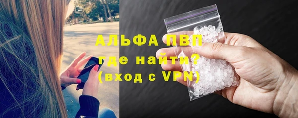 сатива Горняк