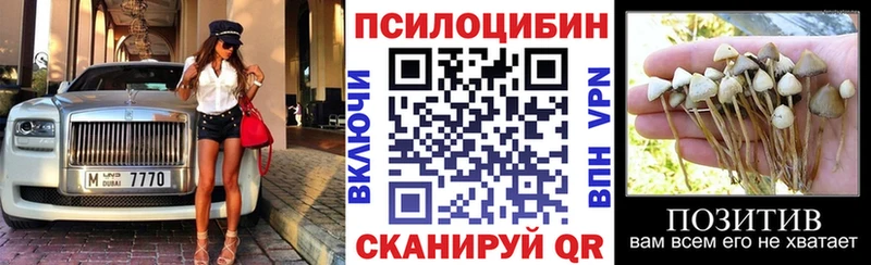 Псилоцибиновые грибы GOLDEN TEACHER  Купить  Калач-на-Дону 